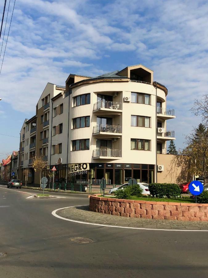 Central Apartments Târgu-Mureş 外观 照片